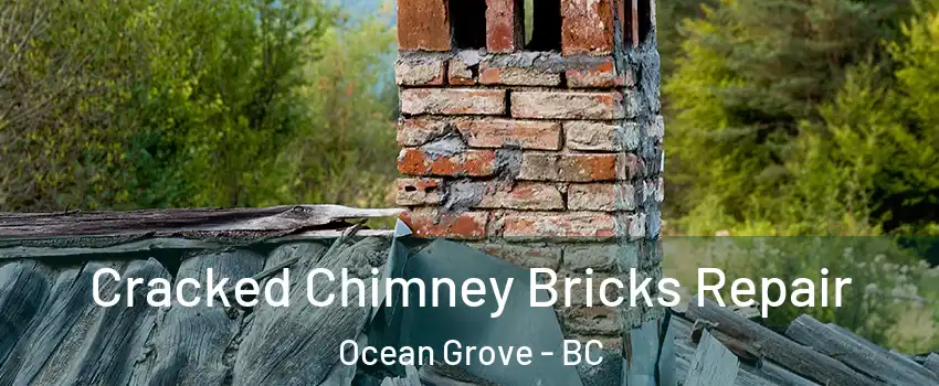 Cracked Chimney Bricks Repair Ocean Grove - BC