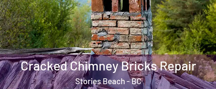  Cracked Chimney Bricks Repair Stories Beach - BC