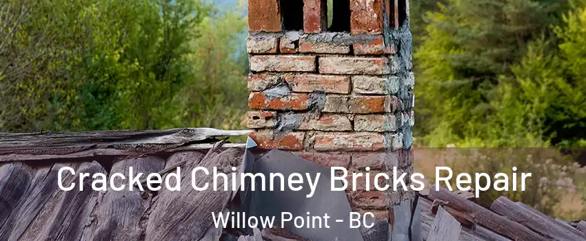  Cracked Chimney Bricks Repair Willow Point - BC