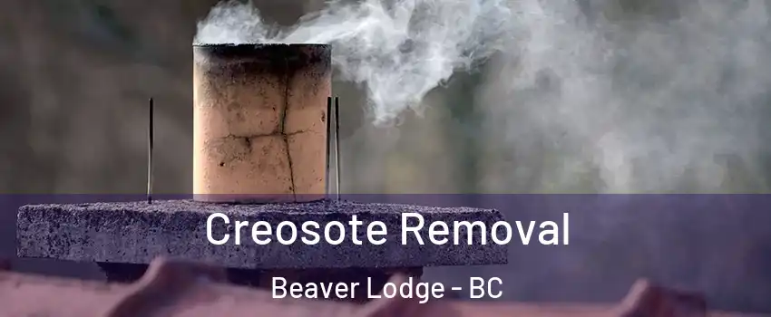  Creosote Removal Beaver Lodge - BC