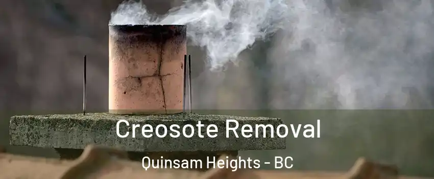  Creosote Removal Quinsam Heights - BC