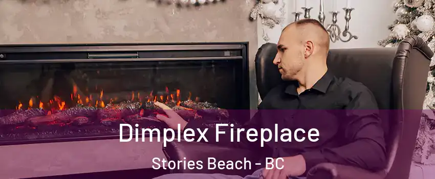  Dimplex Fireplace Stories Beach - BC