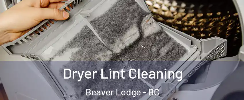  Dryer Lint Cleaning Beaver Lodge - BC