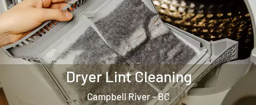  Dryer Lint Cleaning Campbell River - BC