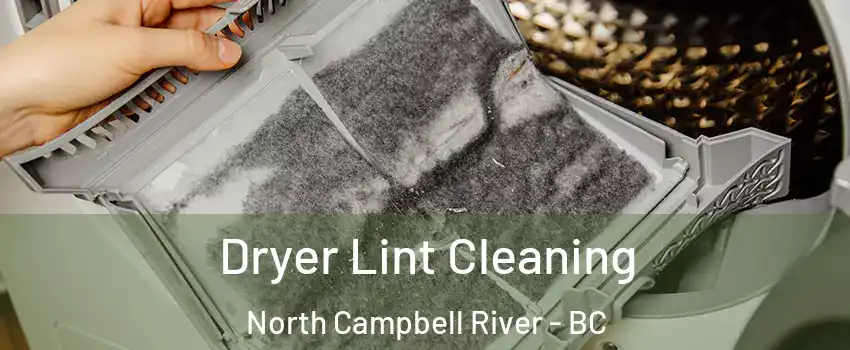  Dryer Lint Cleaning North Campbell River - BC