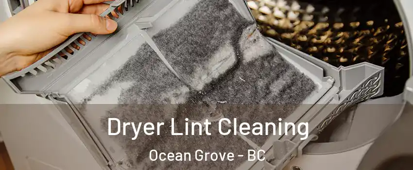  Dryer Lint Cleaning Ocean Grove - BC