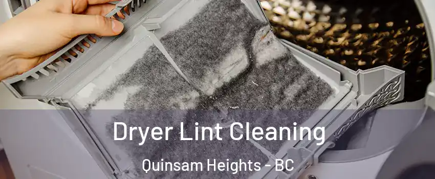  Dryer Lint Cleaning Quinsam Heights - BC