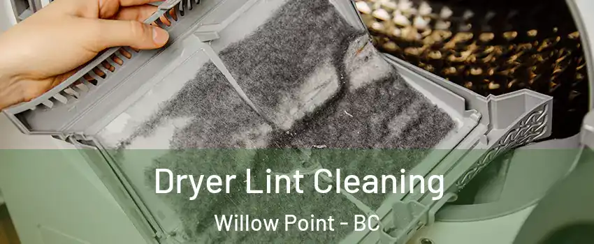  Dryer Lint Cleaning Willow Point - BC