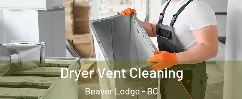 Dryer Vent Cleaning Beaver Lodge - BC