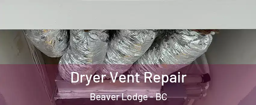  Dryer Vent Repair Beaver Lodge - BC