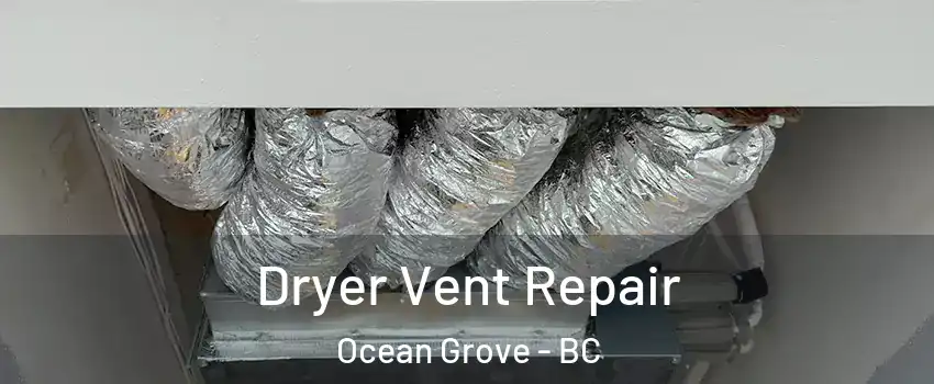  Dryer Vent Repair Ocean Grove - BC