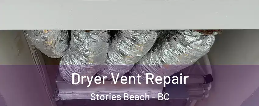  Dryer Vent Repair Stories Beach - BC