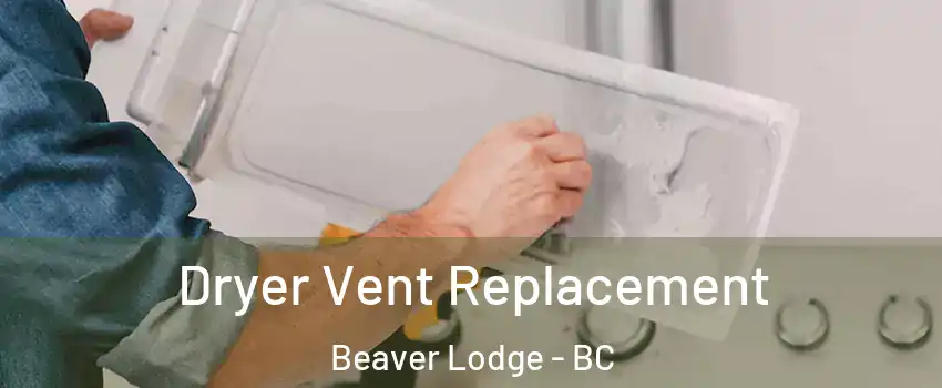  Dryer Vent Replacement Beaver Lodge - BC
