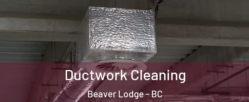  Ductwork Cleaning Beaver Lodge - BC