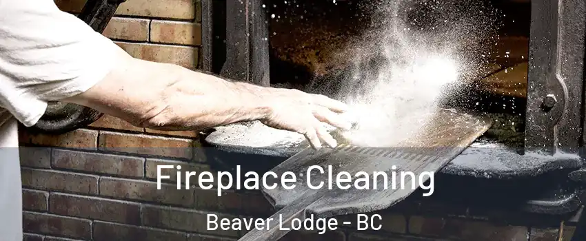  Fireplace Cleaning Beaver Lodge - BC