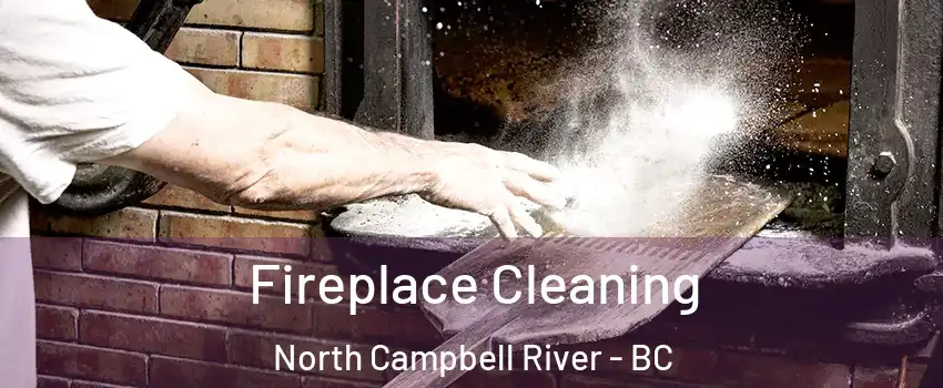  Fireplace Cleaning North Campbell River - BC