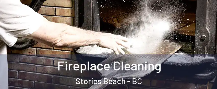  Fireplace Cleaning Stories Beach - BC