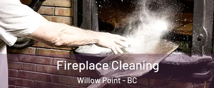  Fireplace Cleaning Willow Point - BC