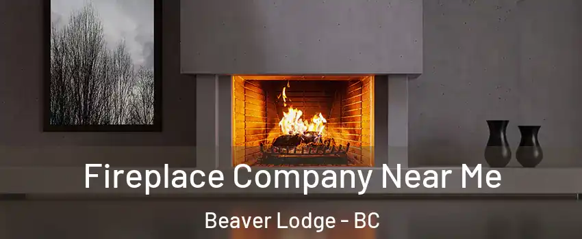Fireplace Company Near Me Beaver Lodge - BC