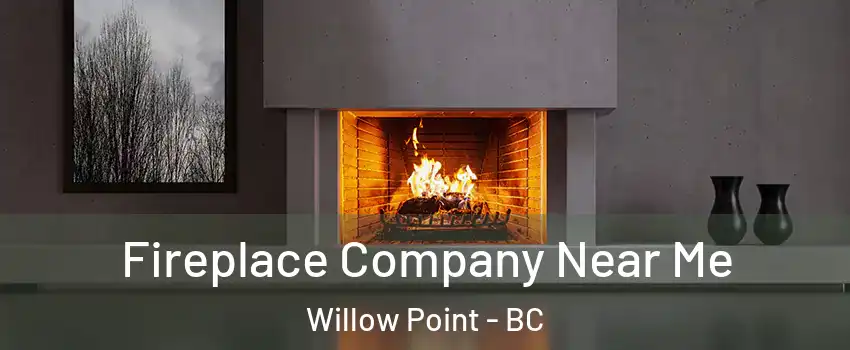 Fireplace Company Near Me Willow Point - BC