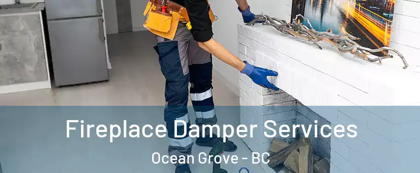 Fireplace Damper Services Ocean Grove - BC