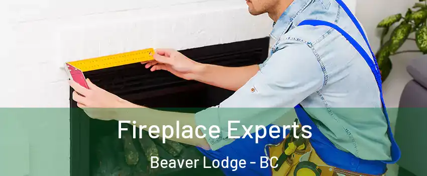  Fireplace Experts Beaver Lodge - BC