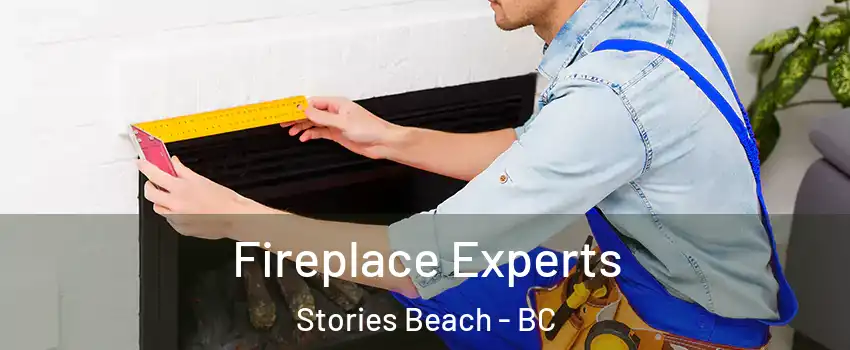  Fireplace Experts Stories Beach - BC