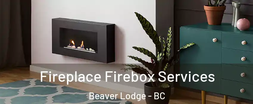  Fireplace Firebox Services Beaver Lodge - BC