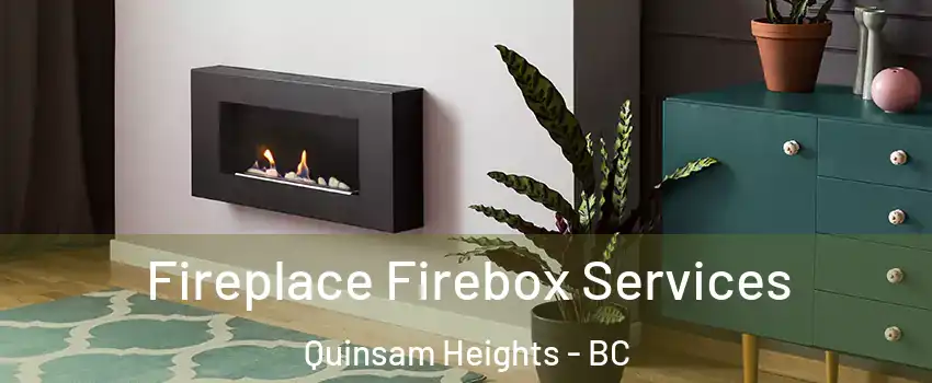  Fireplace Firebox Services Quinsam Heights - BC