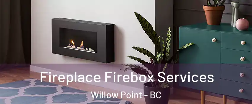  Fireplace Firebox Services Willow Point - BC