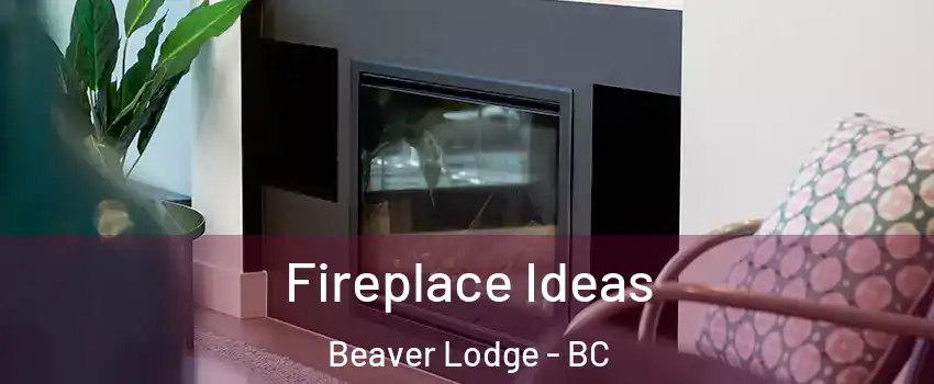 Fireplace Ideas Beaver Lodge - BC