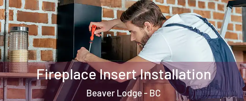  Fireplace Insert Installation Beaver Lodge - BC