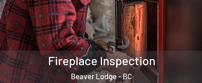  Fireplace Inspection Beaver Lodge - BC