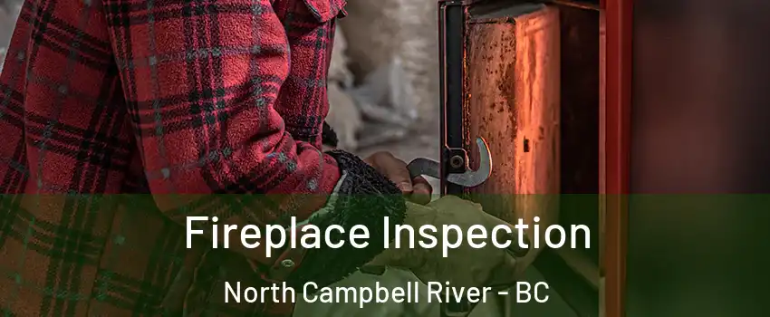  Fireplace Inspection North Campbell River - BC