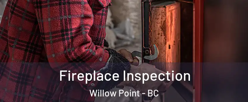  Fireplace Inspection Willow Point - BC
