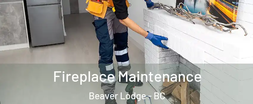  Fireplace Maintenance Beaver Lodge - BC