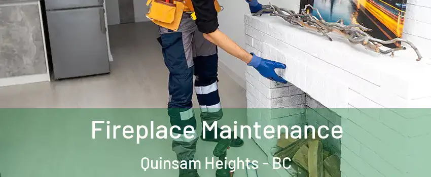  Fireplace Maintenance Quinsam Heights - BC