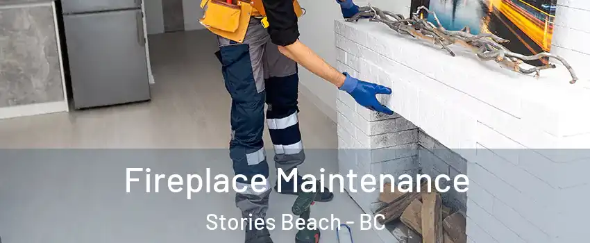  Fireplace Maintenance Stories Beach - BC