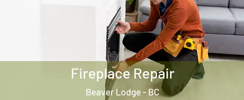  Fireplace Repair Beaver Lodge - BC