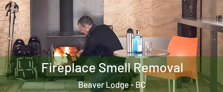 Fireplace Smell Removal Beaver Lodge - BC