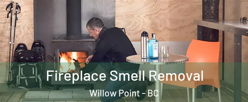  Fireplace Smell Removal Willow Point - BC
