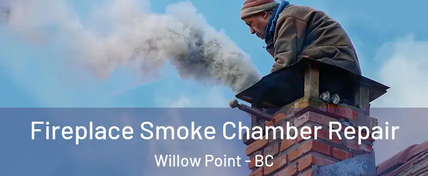  Fireplace Smoke Chamber Repair Willow Point - BC