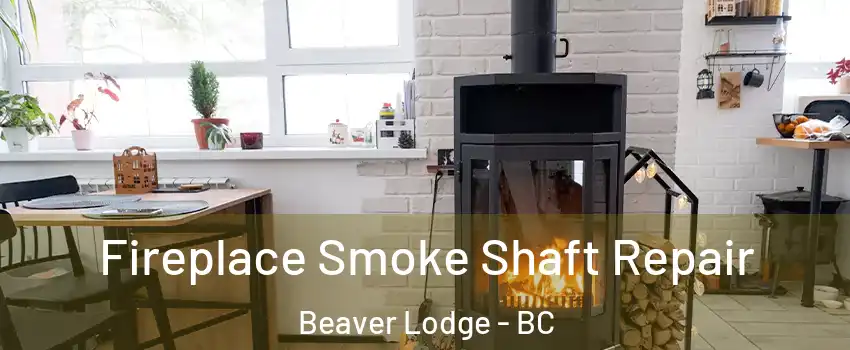  Fireplace Smoke Shaft Repair Beaver Lodge - BC
