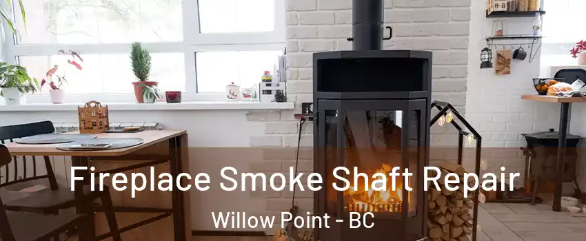  Fireplace Smoke Shaft Repair Willow Point - BC