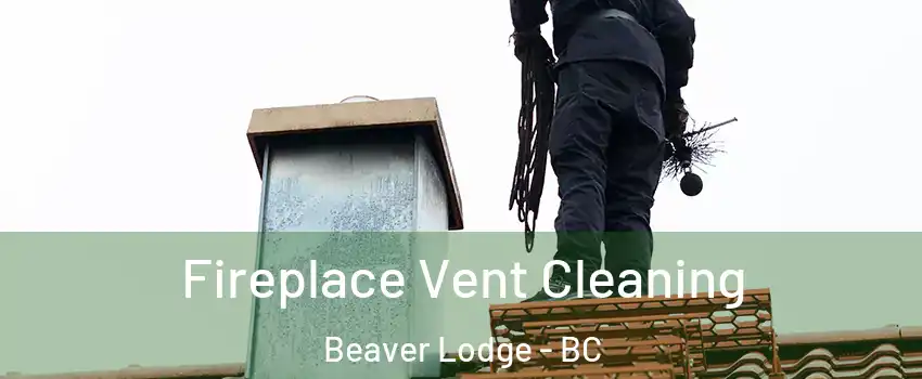  Fireplace Vent Cleaning Beaver Lodge - BC