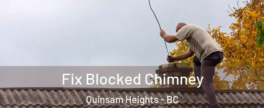  Fix Blocked Chimney Quinsam Heights - BC