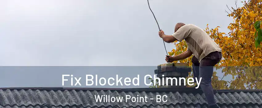  Fix Blocked Chimney Willow Point - BC