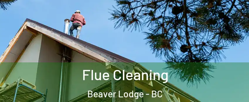  Flue Cleaning Beaver Lodge - BC
