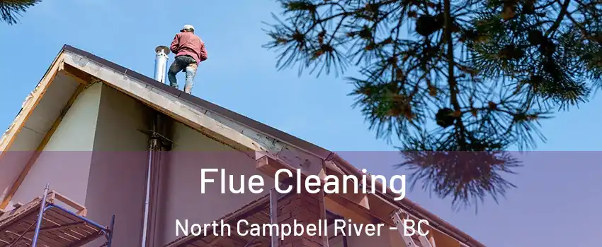 Flue Cleaning North Campbell River - BC