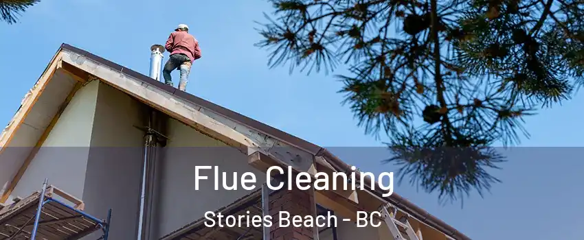  Flue Cleaning Stories Beach - BC